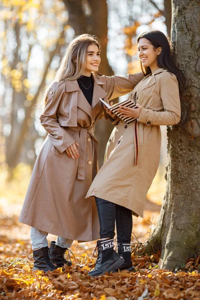 两个漂亮的女性朋友在一起 两个笑着的妹妹边说边拿着一本书站在树旁 穿着外套的布鲁内特和金发女孩 — 图库照片