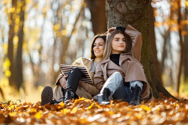 两个漂亮的女性朋友在一起 两个笑着的妹妹边说边拿着一本书站在树旁 穿着外套的布鲁内特和金发女孩 — 图库照片