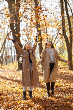 Sarı yapraklar atan iki güzel bayan arkadaş. Sonbahar parkında yürüyen iki genç kız kardeş. Esmer ve sarışın kızlar ceket giyiyor..
