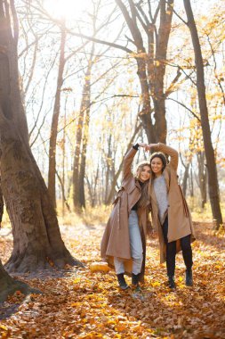 İki güzel bayan arkadaş birlikte vakit geçiriyorlar. Sonbahar parkında yürüyen iki genç kız kardeş. Esmer ve sarışın kızlar ceket giyiyor..