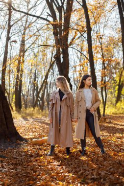 İki güzel bayan arkadaş birlikte vakit geçiriyorlar. Sonbahar parkında yürüyen iki genç kız kardeş. Esmer ve sarışın kızlar ceket giyiyor..