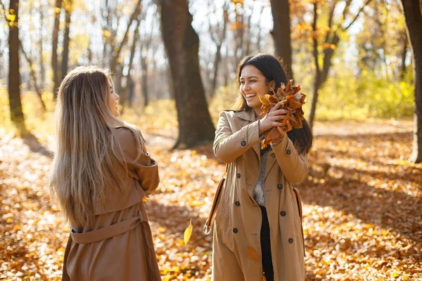 两个漂亮的女性朋友扔黄叶 两个笑着的妹妹在秋天的公园里散步 穿着外套的布鲁内特和金发女孩 — 图库照片