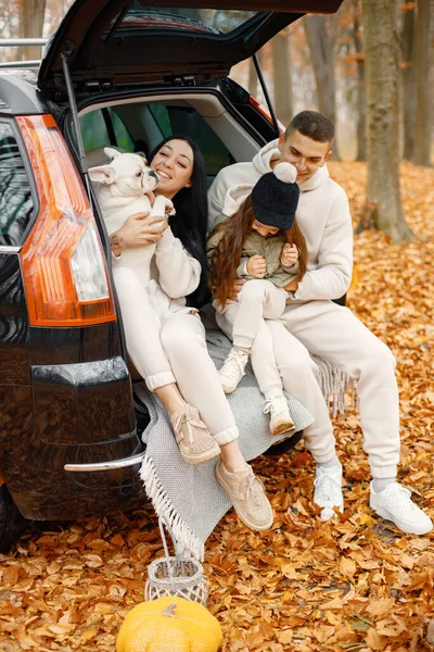 Family resting after day spending outdoor in autumn park. Father, mother, their daughter and dog sitting inside car trunk, smiling. Family wearing beige sportive costumes.