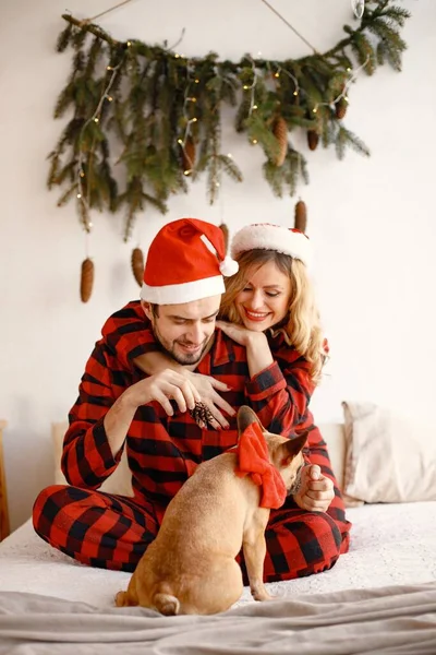 Lovely couple celebrating christmas with dog on a bed. Blonde woman and brunette man wearing plaid pajamas. French bulldog with his family.