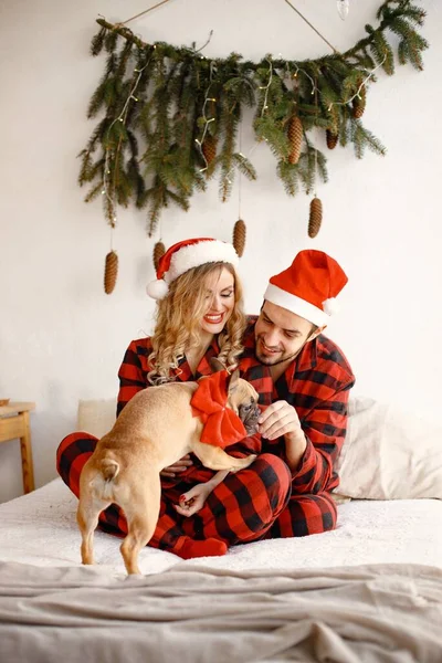 Lovely couple celebrating christmas with dog on a bed. Blonde woman and brunette man wearing plaid pajamas. French bulldog with his family.