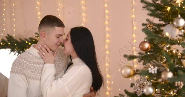 Familie Mas Vinterferie Menneskekoncept Lykkeligt Par Der Krammer Nær Juletræ – Stock-video