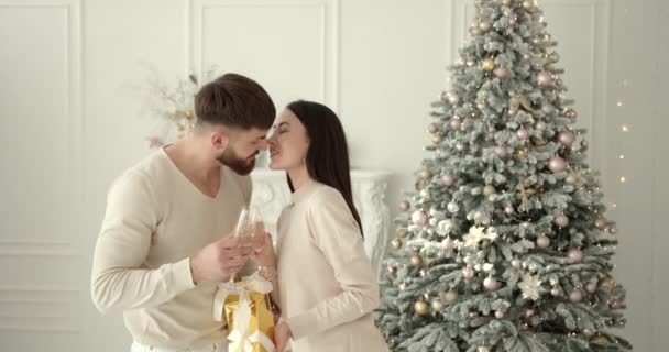 Una Coppia Amorevole Che Beve Champagne Vicino All Albero Capodanno — Video Stock