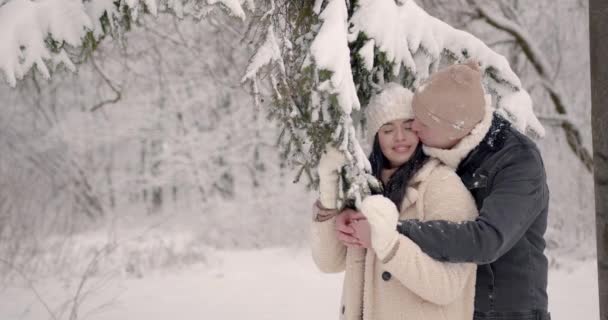 Jovem Bonita Casal Apaixonado Com Chapéus Inverno Floresta Inverno Abraçar — Vídeo de Stock