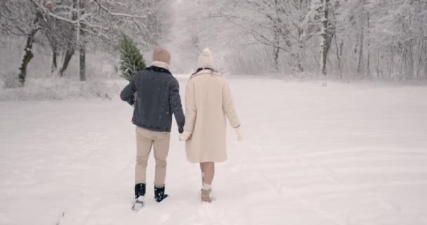 Gelukkig Man Vrouw Warme Kleren Dragen Kerstboom Samen Lopen Pad — Stockvideo