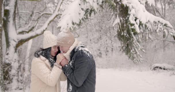 Νεαρό Όμορφο Ερωτευμένο Ζευγάρι Χειμωνιάτικα Καπέλα Στο Δάσος Αγκαλιάζονται Και — Αρχείο Βίντεο