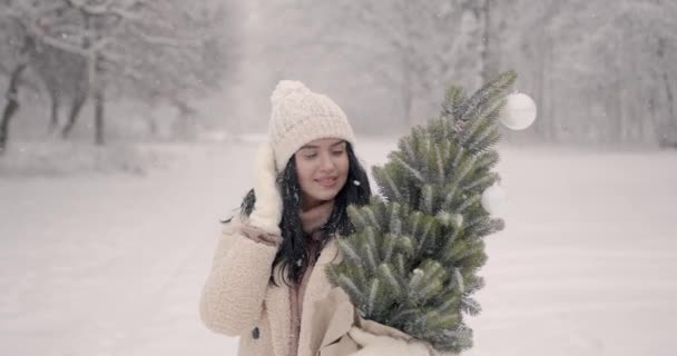 Mulher Uma Roupa Branca Inverno Preparando Para Natal Ela Carrega — Vídeo de Stock