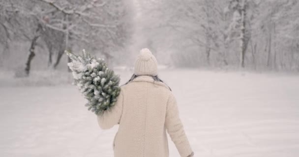 Γυναίκα Λευκά Χειμωνιάτικα Ρούχα Ετοιμάζεται Για Χριστούγεννα Κουβαλάει Ένα Μικρό — Αρχείο Βίντεο