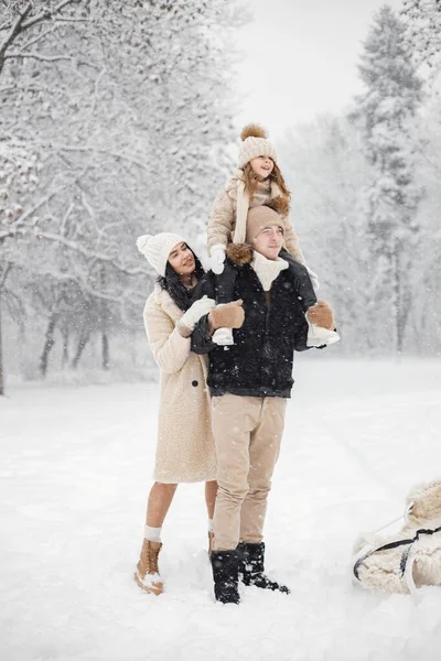 Mała Dziewczynka Ojciec Matka Bawią Się Dworze Zimowy Dzień Brunetka — Zdjęcie stockowe