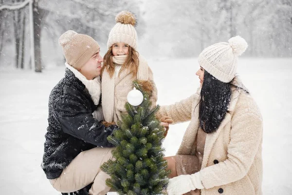 Petite Fille Père Mère Portent Petit Sapin Noël Dans Pot — Photo