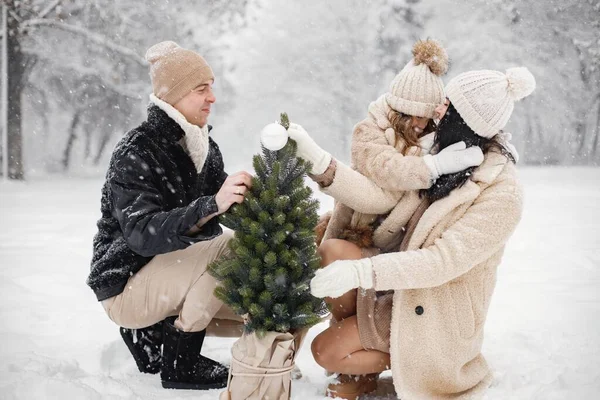 Kleine Meid Vader Moeder Dragen Een Kleine Kerstboom Een Pot — Stockfoto