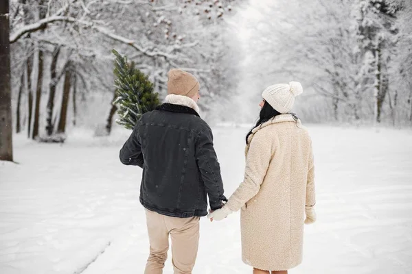 크리스마스 트리를 항아리에 다니는 남녀의 겨울에는 낭만적 남녀가 재킷을 공원을 — 스톡 사진