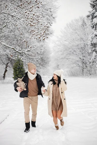 Young Man Woman Carry Little Christmas Tree Pot Romantic Couple — Stock Photo, Image