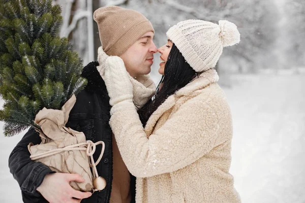 남녀가 크리스마스 트리를 항아리에 가지고 다닌다 겨울에는 낭만적 남녀가 재킷을 — 스톡 사진