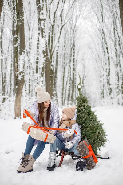 Matka Dzieckiem Bawią Się Lesie Śnieżny Dzień Dziewczyny Fioletowych Ciepłych — Zdjęcie stockowe