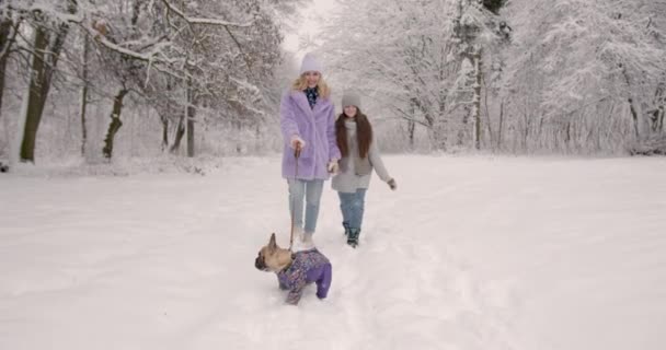 Elegante Madre Con Figlia Inverno Eco Cappotti Piedi Con Cane — Video Stock