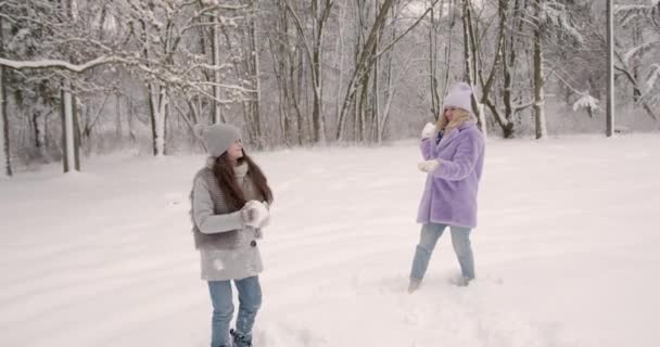 Stylowa Mama Eko Futrze Córką Grającą Śnieżki Parku Aktywny Weekend — Wideo stockowe
