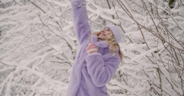 一个穿着紫色皮大衣的女人用手触摸着一根雪白的枝条 外面玩的开心 — 图库视频影像