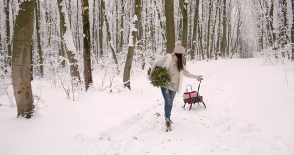 Divertimento Invernale Famiglia Nel Parco Madre Figlia Divertono All Aperto — Video Stock