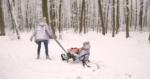 一家人在公园里过冬很开心 冬天妈妈和女儿在外面的雪地里玩得很开心 — 图库视频影像