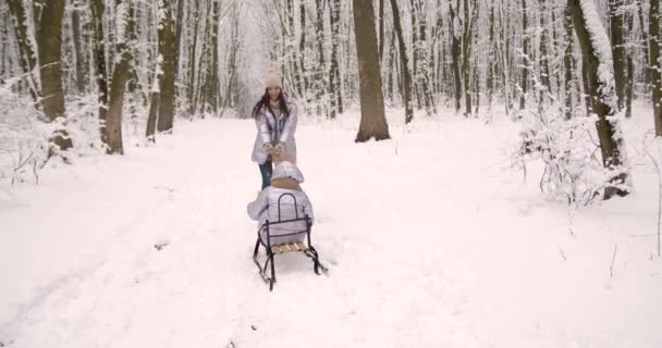 Családi Téli Szórakozás Parkban Anya Lánya Jól Érzik Magukat Hóban — Stock videók