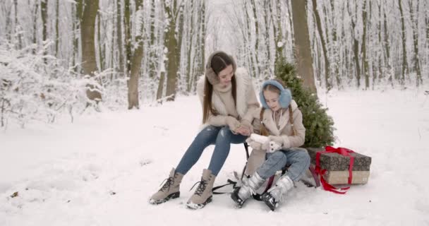 Kobietę Córką Niosącą Sanie Świąteczne Pudełka Jodła Wakacje — Wideo stockowe