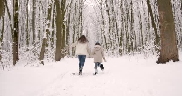 Χριστουγεννιάτικες Διακοπές Οικογενειακή Χειμερινή Βόλτα Στο Δάσος Μεγαλώνοντας Ένα Παιδί — Αρχείο Βίντεο