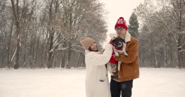 Noel kıyafetli komik köpekli kardeşler ormanda eğleniyor. Kış mevsimi.