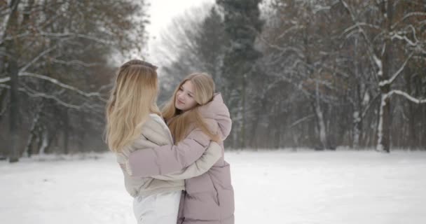 Anya Szeretett Lányával Sétálgat Téli Erdőben Lassú Mozgás Család Hideg — Stock videók