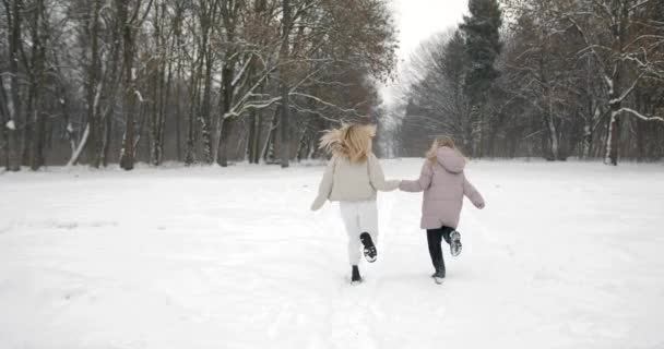 Mama Spędza Czas Swoją Ukochaną Córką Spacerując Zimowym Lesie Zwolnij — Wideo stockowe