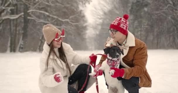Irmãos Com Cão Engraçado Roupas Natal Divertir Floresta Temporada Inverno — Vídeo de Stock