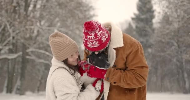 Fratelli Con Cane Divertente Vestiti Natale Divertono Foresta Stagione Invernale — Video Stock