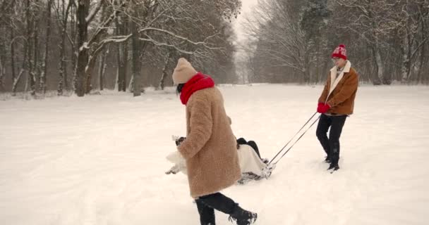 Мать Подростки Бегают Красивом Зимнем Лесу Проводим Время Вместе Прекрасная — стоковое видео