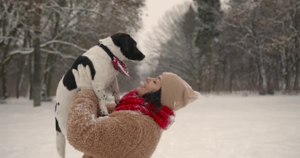 冬休みだ 公園や森の中で子犬と散歩中の若い女性 週末は外だ ペット — ストック動画