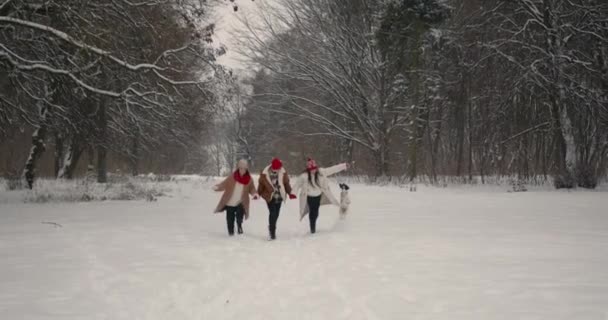 Divertindo Floresta Inverno Mãe Filhos Adolescentes Uma Caminhada Férias Natal — Vídeo de Stock