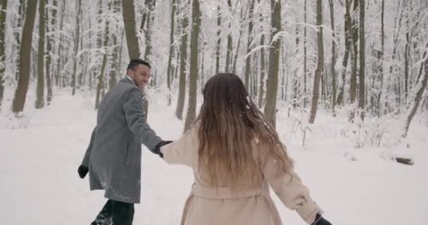 幸せな冬の休日 ロマンチックな若いカップル 冬の雪の日 クリスマスと休日のコンセプト 幸せなカップルは冬の森の背景を楽しんで — ストック動画