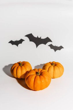 Beyaz arka planda taze olgun portakal kabağı. Yarasalar için Cadılar Bayramı kavramı