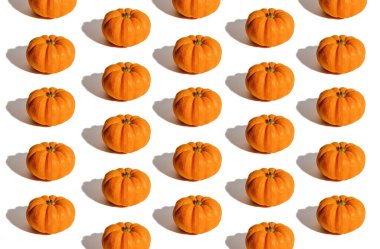 Beyaz arka planda taze olgun turuncu balkabakları. Cadılar Bayramı konsepti için metin düzenleme alanı