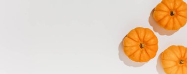 Beyaz arka planda taze olgun turuncu balkabakları. Cadılar Bayramı konsepti için metin düzenleme alanı