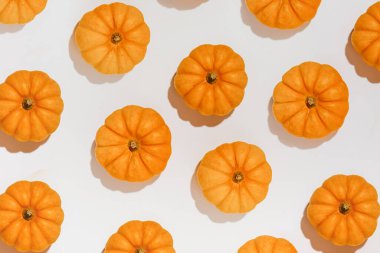 Beyaz arka planda taze olgun turuncu balkabakları. Cadılar Bayramı konsepti için metin düzenleme alanı