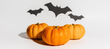 Beyaz arka planda taze olgun portakal kabağı. Yarasalar için Cadılar Bayramı kavramı