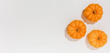 Beyaz arka planda taze olgun turuncu balkabakları. Cadılar Bayramı konsepti için metin düzenleme alanı