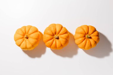 Beyaz arka planda taze olgun turuncu balkabakları. Cadılar Bayramı konsepti için metin düzenleme alanı