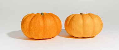 Beyaz arka planda taze olgun turuncu balkabakları. Cadılar Bayramı konsepti için metin düzenleme alanı