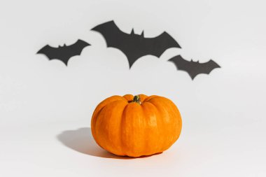 Beyaz arka planda taze olgun portakal kabağı. Yarasalar için Cadılar Bayramı kavramı