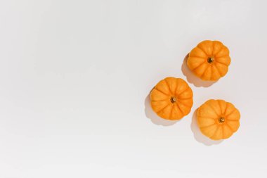 Beyaz arka planda taze olgun turuncu balkabakları. Cadılar Bayramı konsepti için metin düzenleme alanı